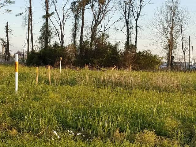 Bremond Park - Image 2