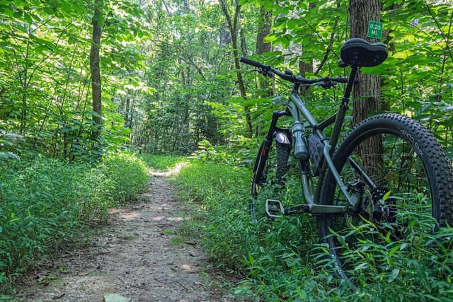 Sharp Springs Mountain Bike Trail - Image 1