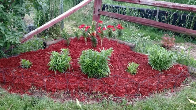 Crescent Valley Park - Image 1
