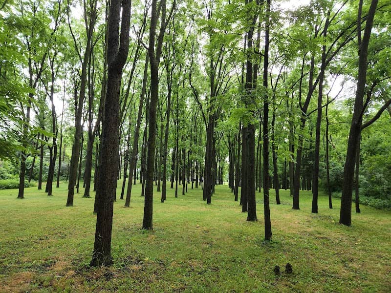 Walnut Woods - Image 2