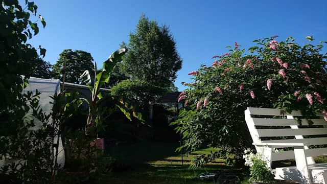 Franzens Trädgård - Image 1