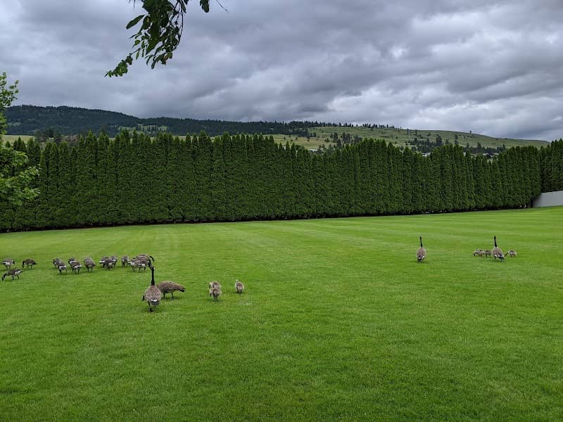 Beasley Park - Image 1