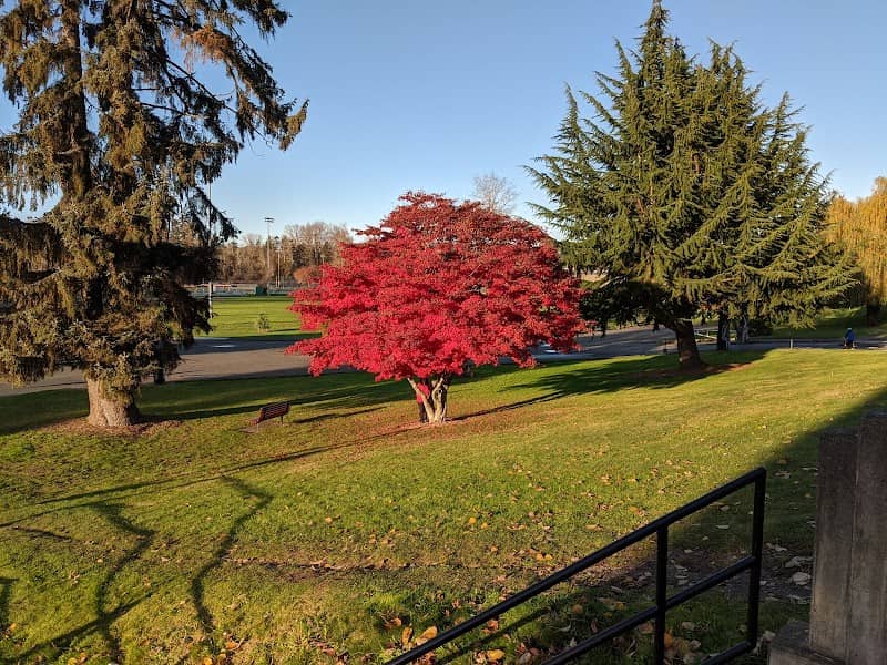 Lewis Park - Image 1