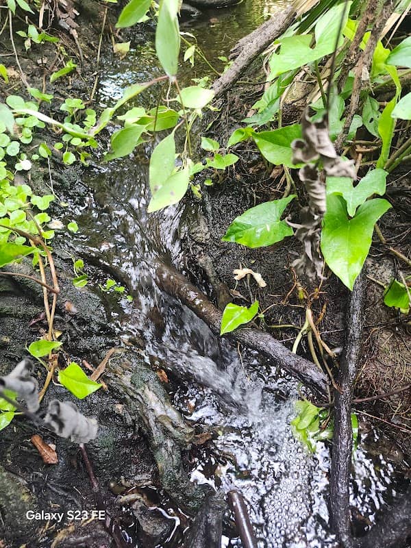 Secret Waterfall IRB - Image 2