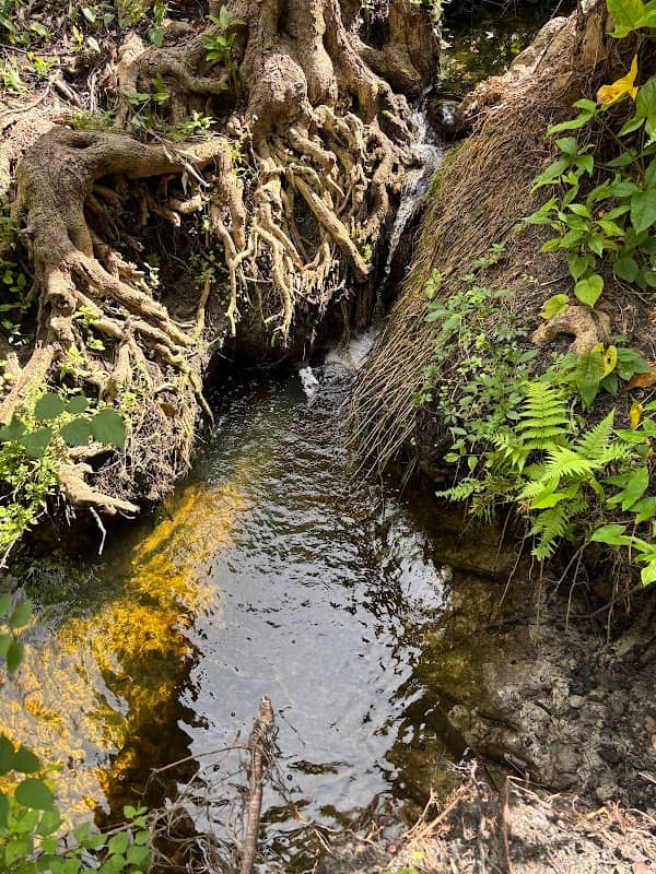 Secret Waterfall IRB - Image 1