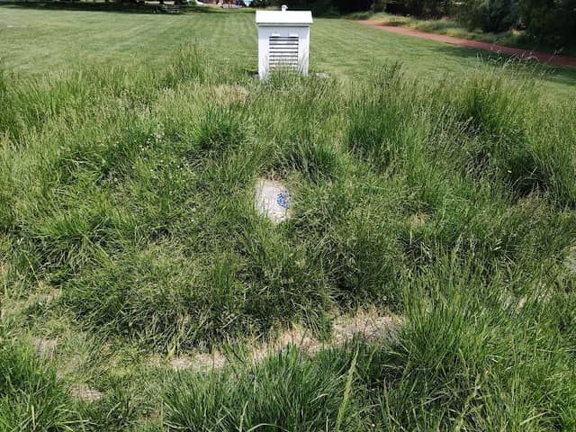 Observatory Park Labyrinth - Image 1
