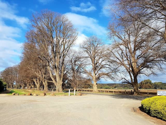 Bacchus Marsh Avenue of Honour - Image 1