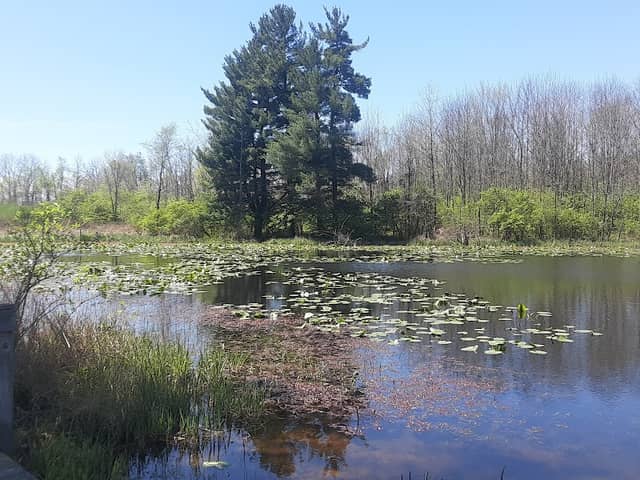 Headwaters Outdoor Education Center - Image 2