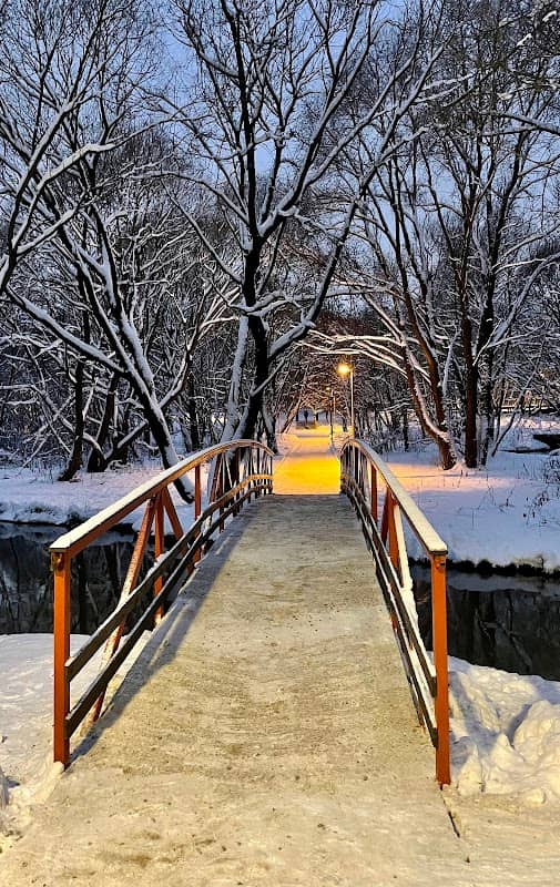 Park Sviblovo - Image 2