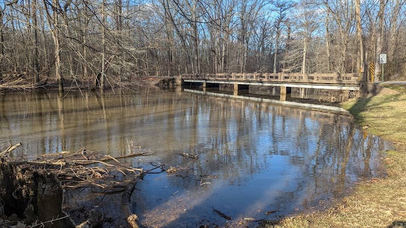 Northlake Swamp canoe launch - Image 3