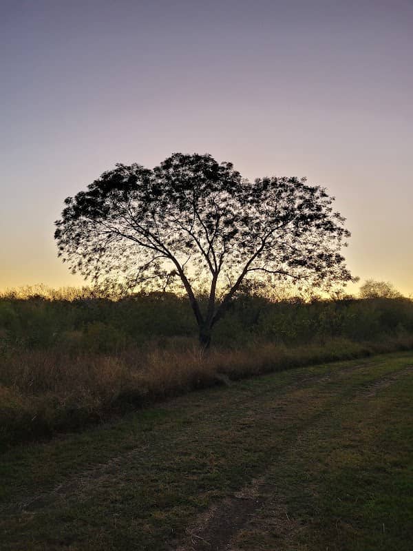 Los Fresnos Nature Park & Caracara Hike & Bike Trail - Image 3