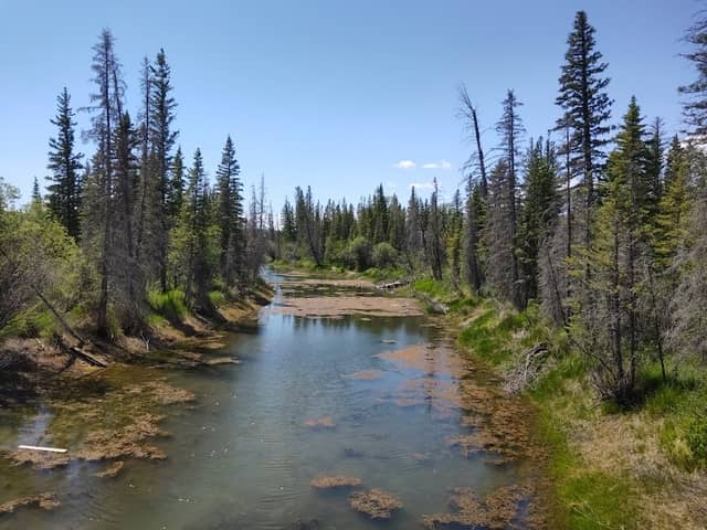 Weaselhead Natural Area Parking - Image 2