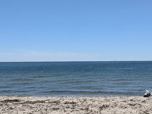 Belmont Road Beach - Image 2
