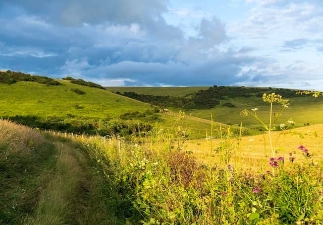 Castle Hill NNR - Image 3