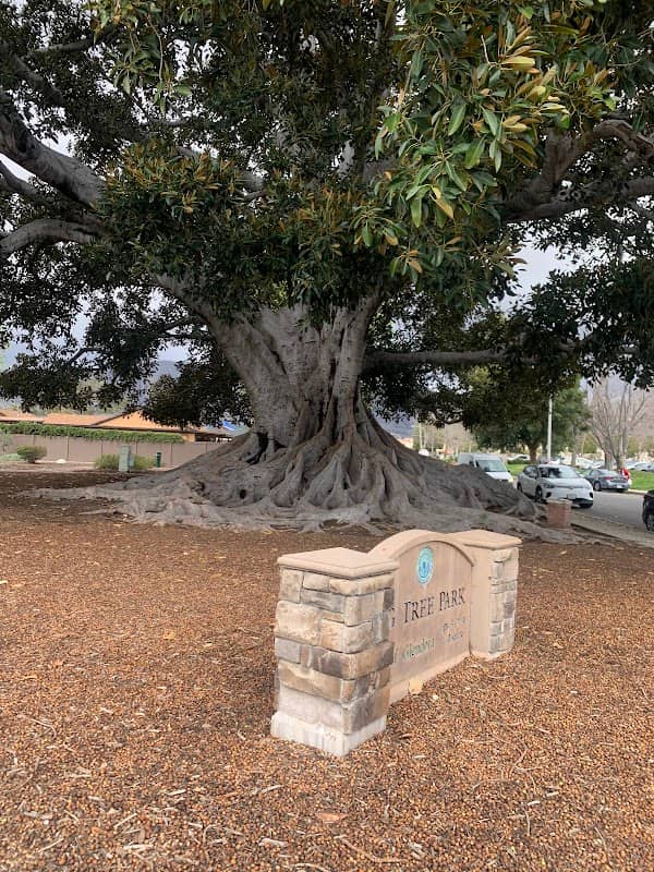 Big Tree Park and Historical Marker - Image 5