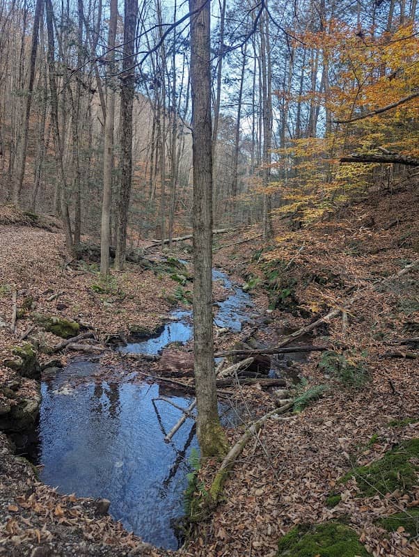 Mt. Toby Parking Area - Image 2