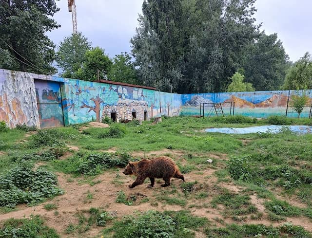 Zoo Targoviste - Image 2