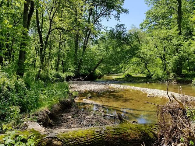 Gillis Falls Recreation Area - Image 1