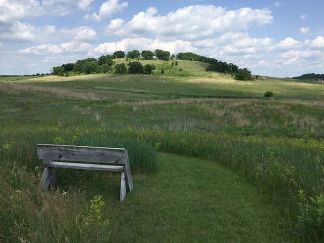 Pheasant Branch Conservancy - Image 2