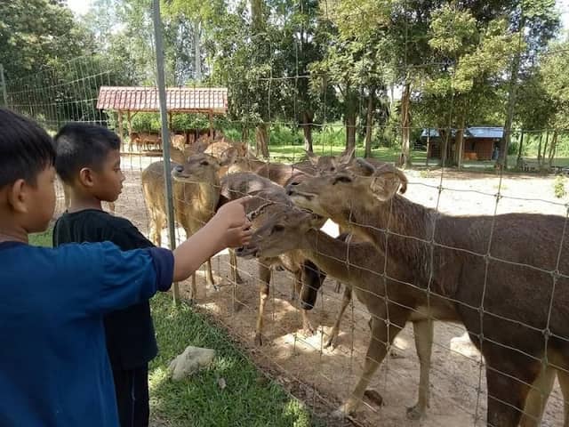 TAMAN RUSA UUM - Image 1
