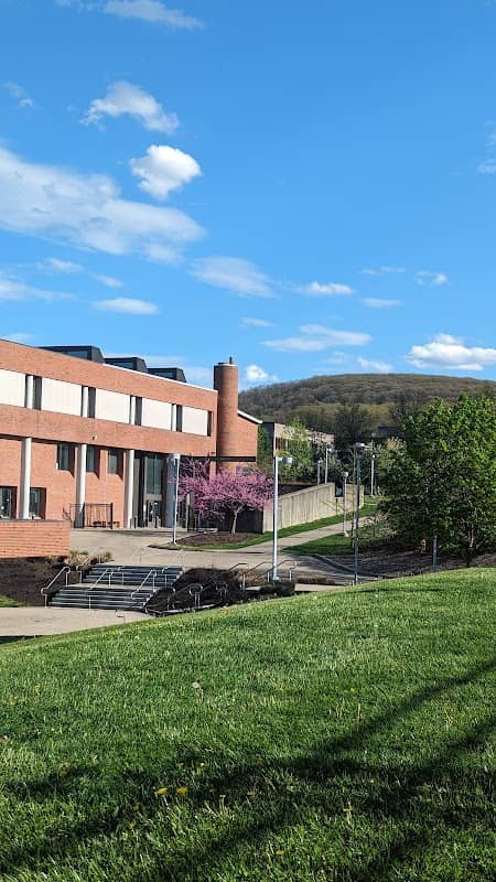 Binghamton University Art Museum - Image 2