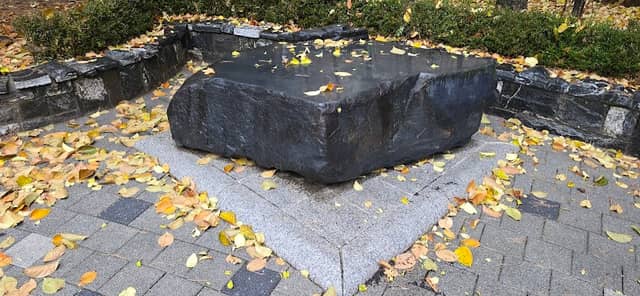 장미 공원 - Image 3