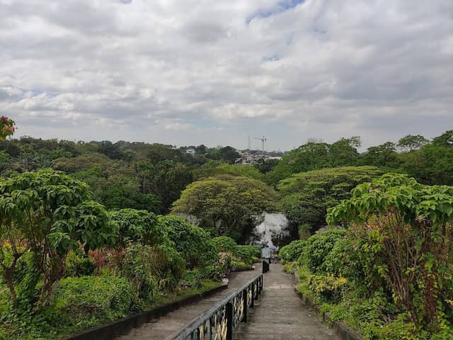 La Mesa Ecopark - Image 1