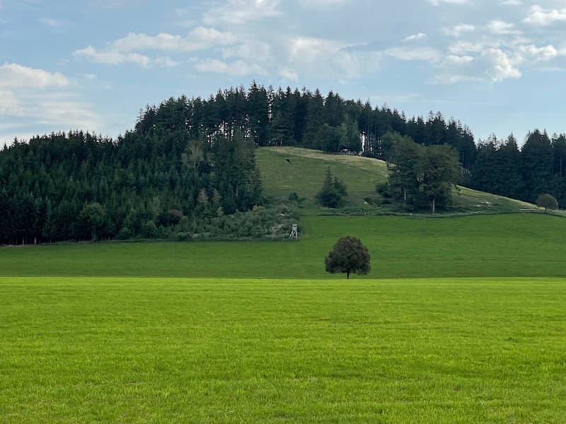 Fledermäuse am Südausgang - Image 1