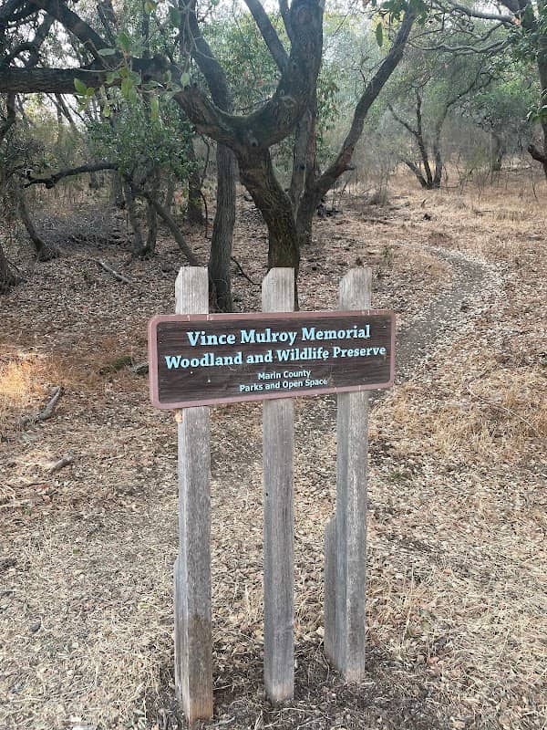 Vince Mulroy Nature Reserve - Image 1