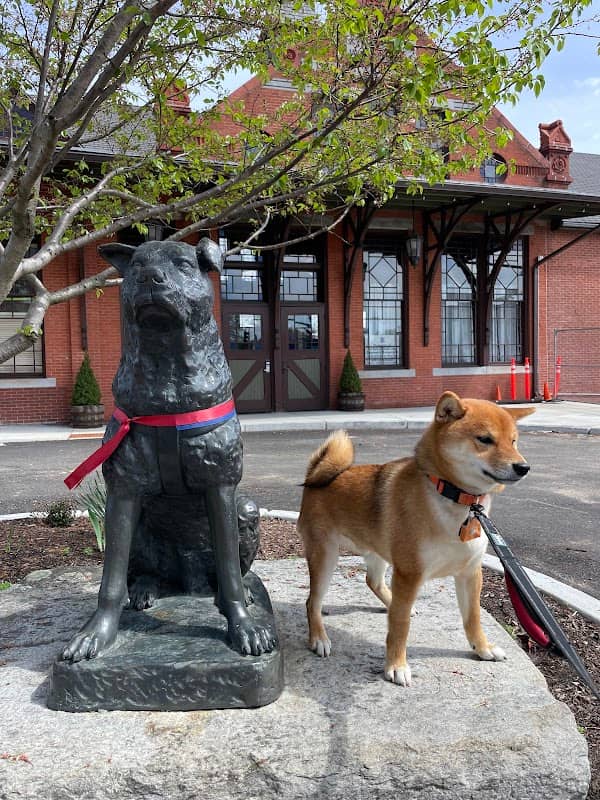 Statue Of Hachi - Image 1
