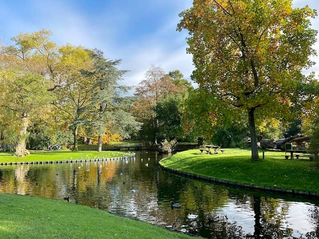 Wilhelminapark - Image 1