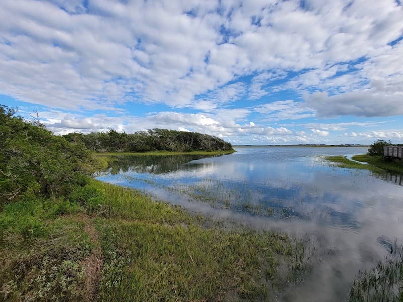 Rachel Carson Reserve - Image 2