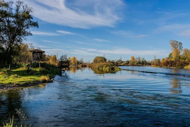 Aussichtsturm an der Isar - Image 1