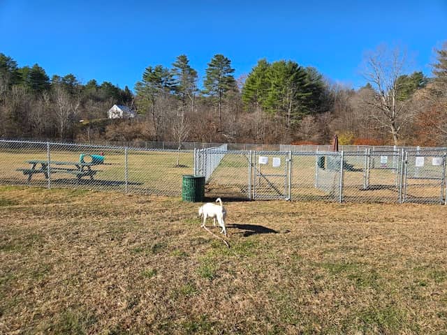Newport Dog Park - Image 1