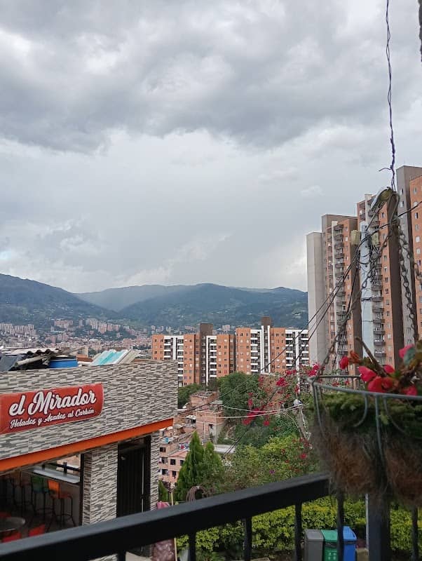 Porvenir los mangos - Image 2