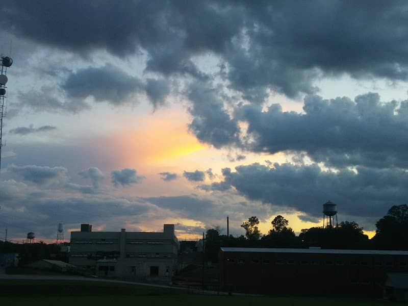 Newbern Field - Image 1