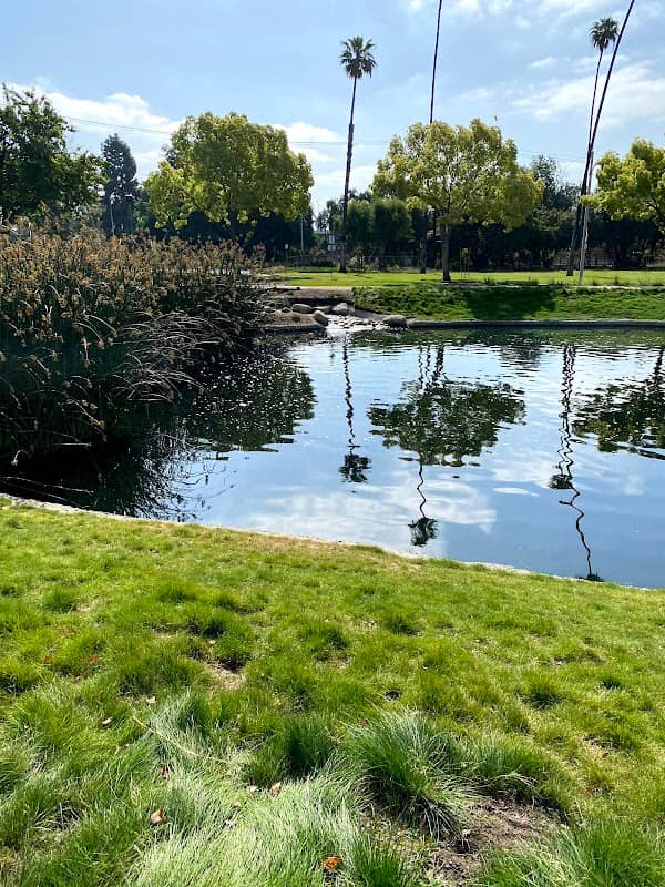 Wilderness Park - Image 1