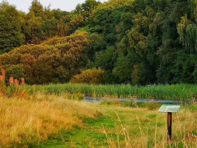 Ryton Willows - Image 2