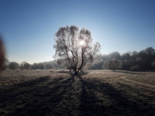 Ryton Willows - Image 1