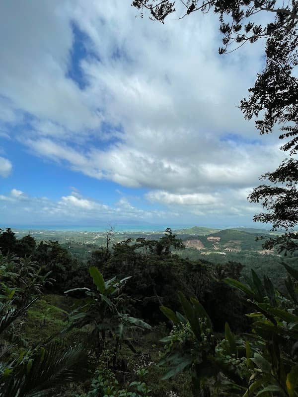 View point - Image 2