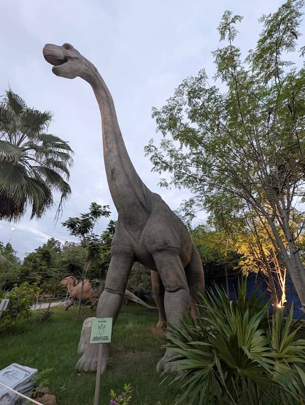 Dino Safari Park - Image 2