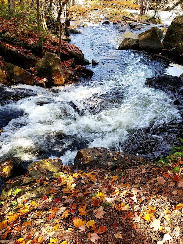 Blakeney Park - Image 2