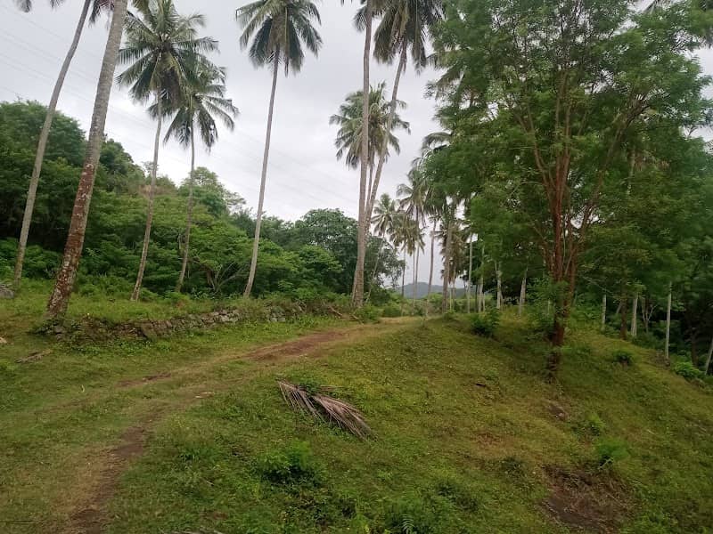 Ambakote Kanda - Image 3