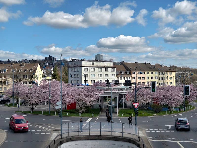 Blumeninsel - Image 1