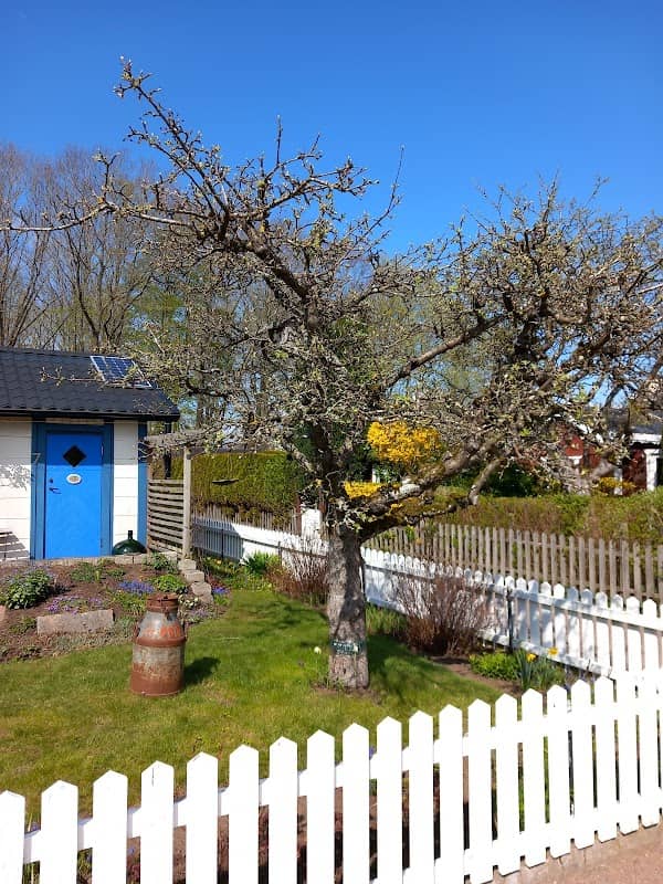 Fritiden koloniområde - Image 2