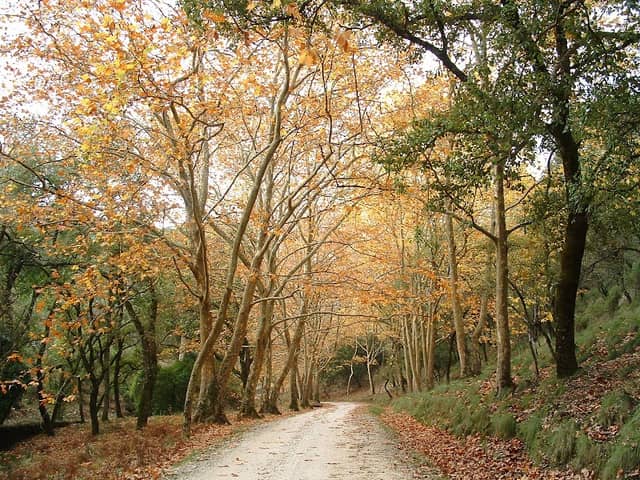 Tapada Nacional de Mafra - Image 2