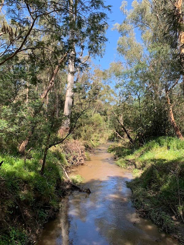 Beaconsfield Flora & Fauna Reserve - Image 1
