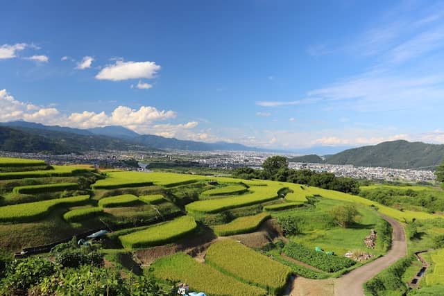 Obasute Rice Terraces - Image 1