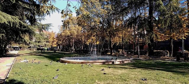 Parco pubblico - Image 2