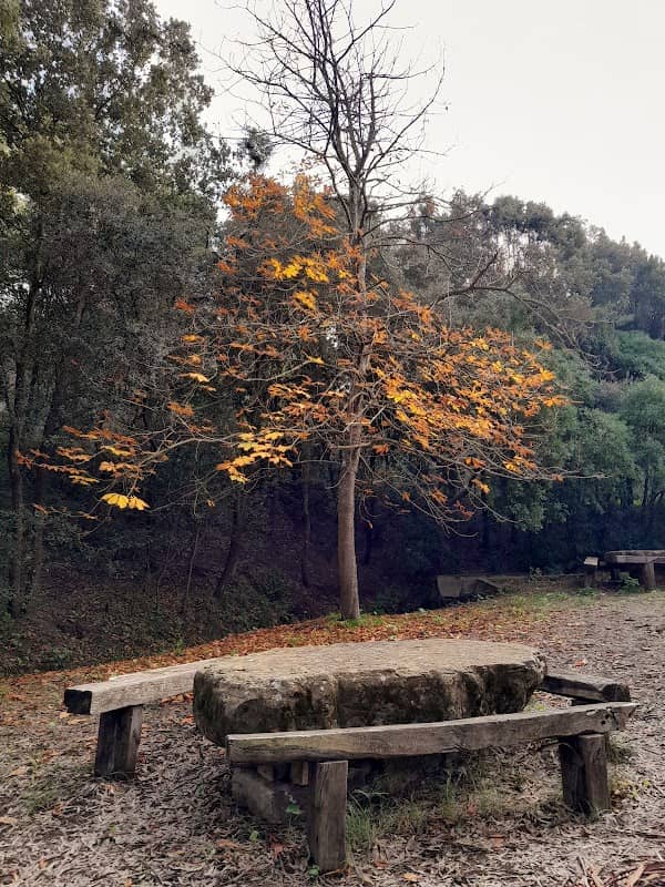 Parco ippocastano - Image 1